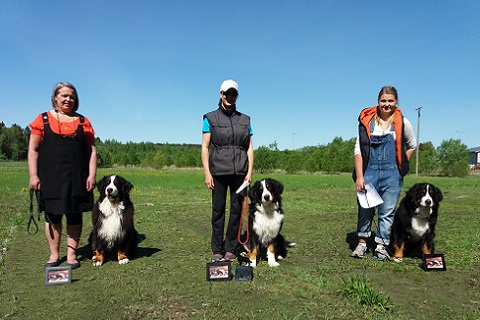 Rallym�llin avoinluokka